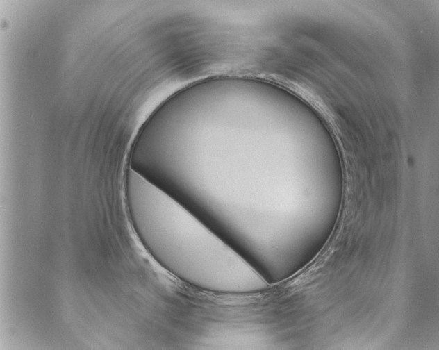 X0000089871440200706281023