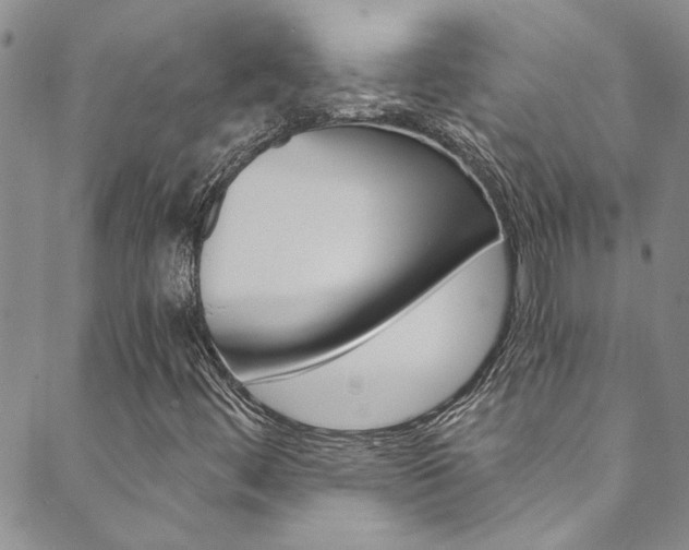 X0000089871444200706281023