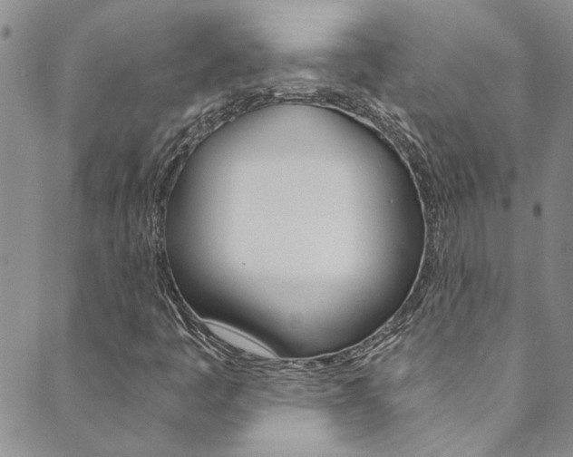 X0000089871445200706281022