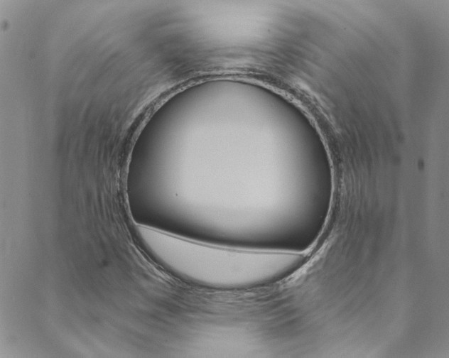 X0000089871449200706281022