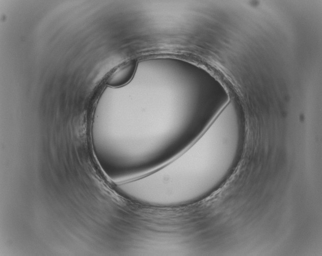 X0000089871450200706281022