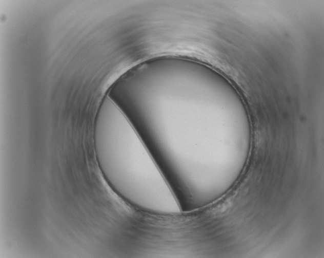 X0000089871521200706281022