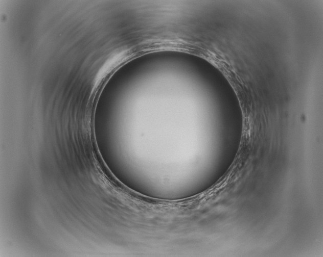 X0000089870004200706281327