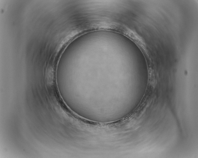 X0000089870012200706281327