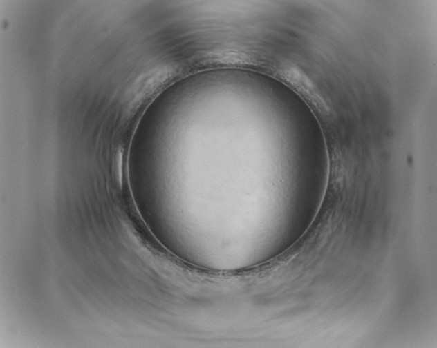 X0000089870014200706281327