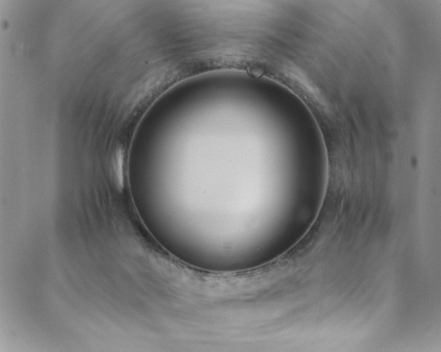 X0000089870022200706281327