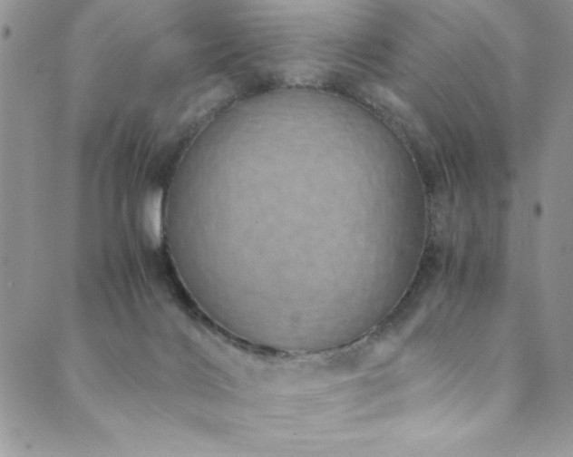 X0000089870028200706281327