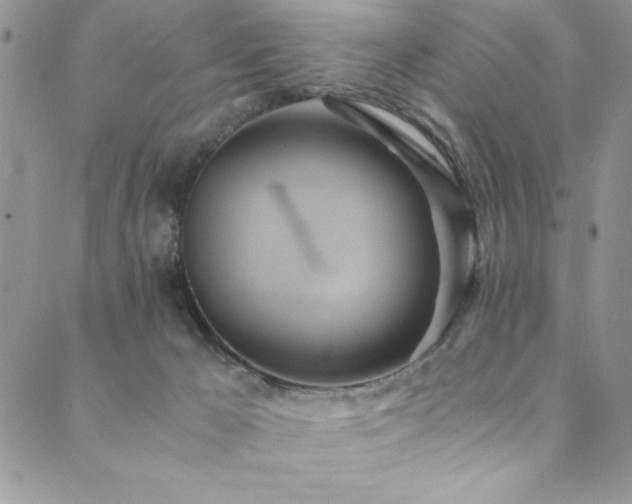 X0000089870029200706281327
