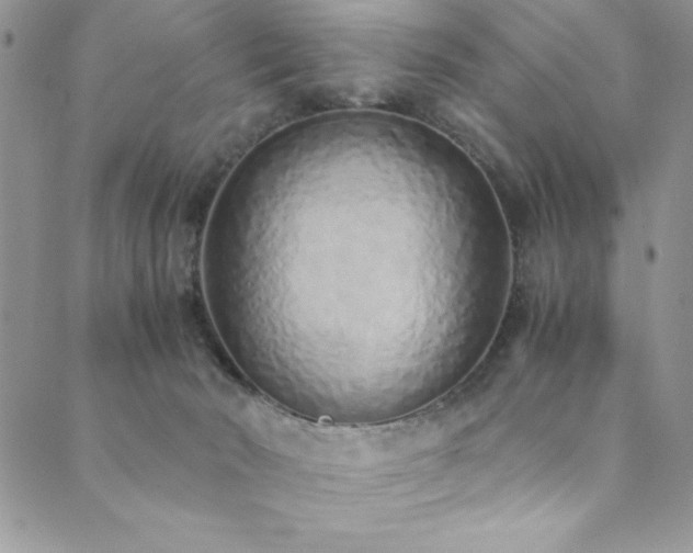 X0000089870030200706281327