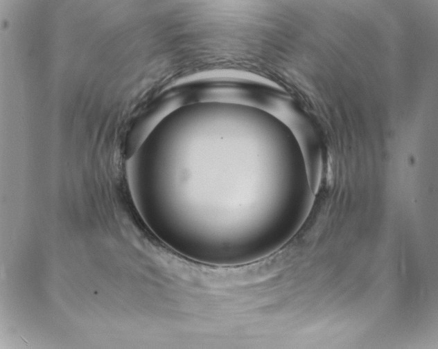 X0000089870039200706281327