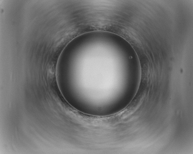 X0000089870040200706281327