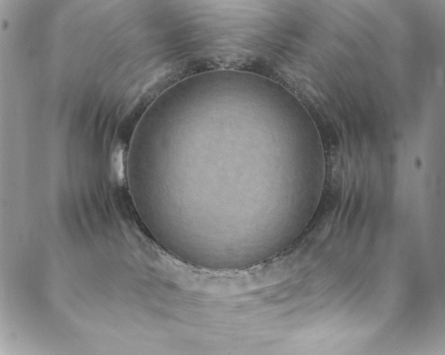 X0000089870042200706281327
