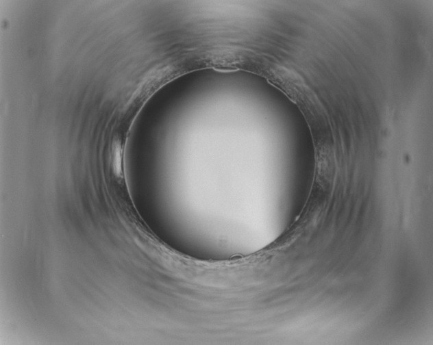X0000089870046200706281327