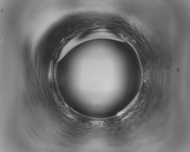 X0000089870052200706281326