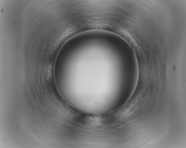 X0000089870071200706281326