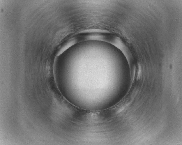 X0000089870080200706281326