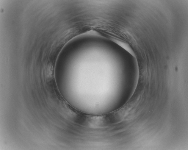 X0000089870081200706281326