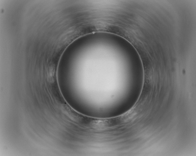 X0000089870082200706281326