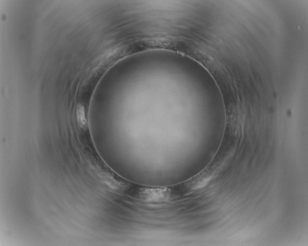 X0000089870089200706281326