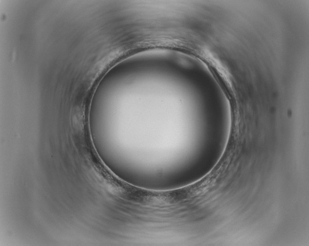 X0000089870107200706281326