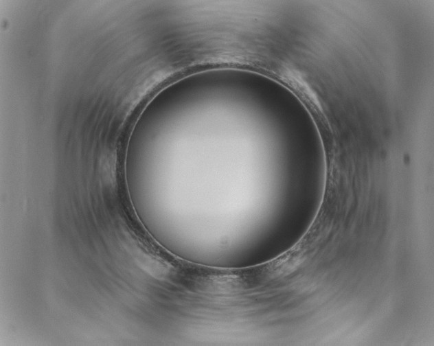 X0000089870108200706281326