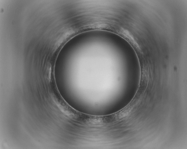 X0000089870110200706281326