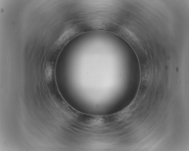 X0000089870124200706281325