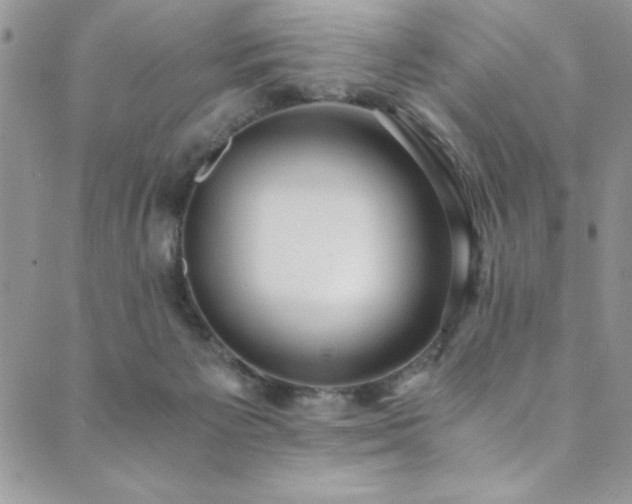 X0000089870125200706281325