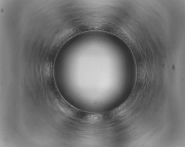 X0000089870126200706281325