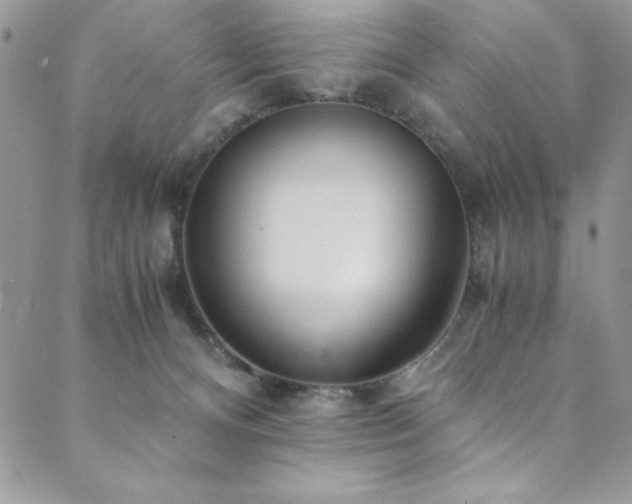 X0000089870128200706281325