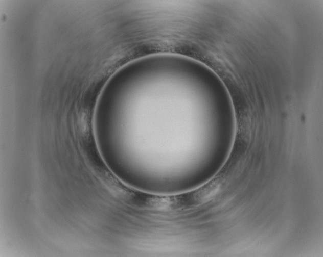 X0000089870131200706281325