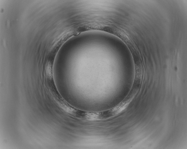X0000089870143200706281325
