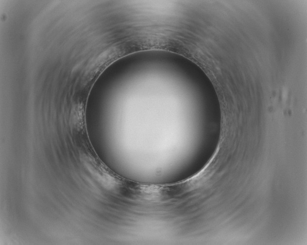 X0000089870144200706281325