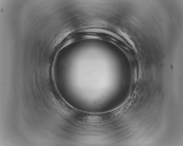 X0000089870154200706281324