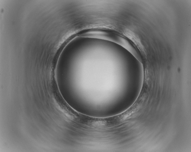 X0000089870156200706281324