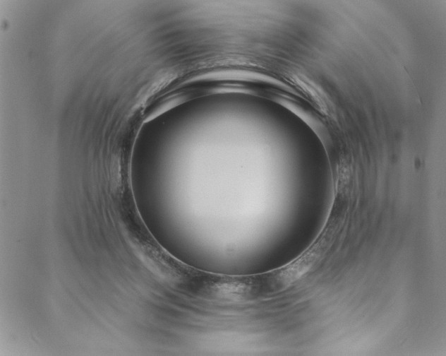 X0000089870158200706281325