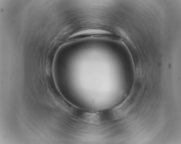 X0000089870170200706281325