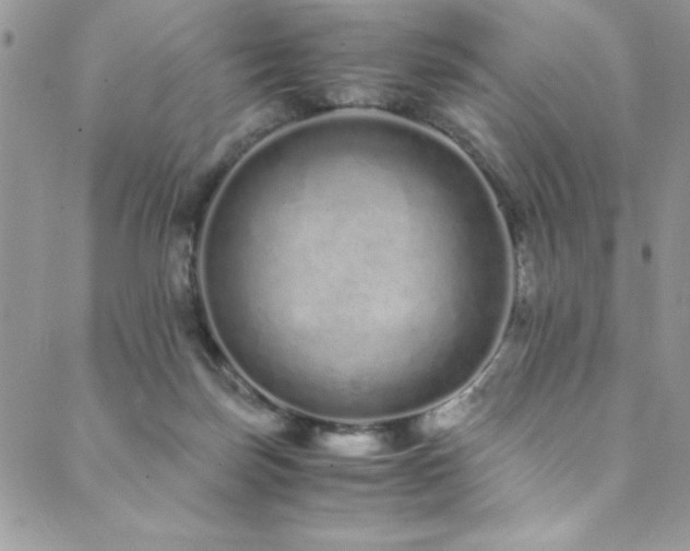 X0000089870171200706281325