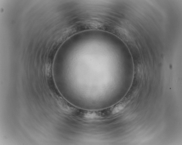 X0000089870177200706281325