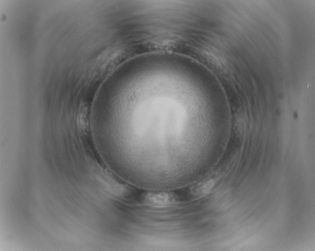X0000089870181200706281325