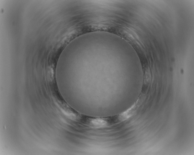 X0000089870183200706281325