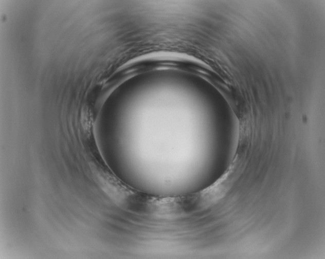 X0000089870186200706281325