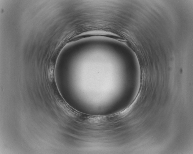 X0000089870190200706281325