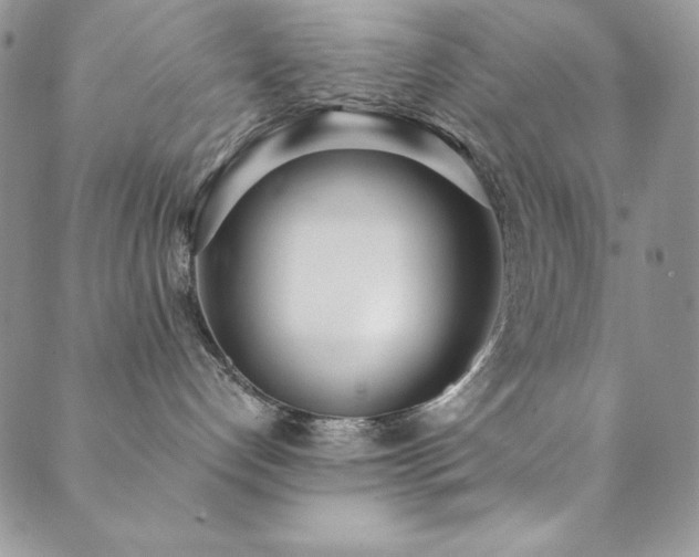 X0000089870192200706281325