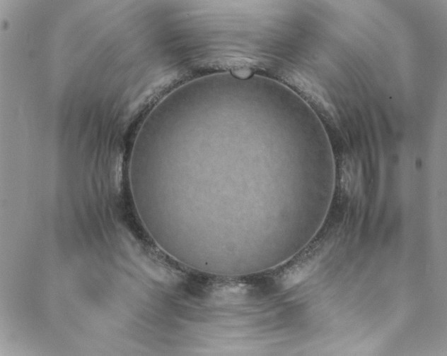X0000089870206200706281324