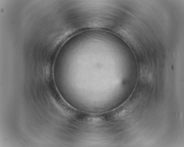 X0000089870208200706281324