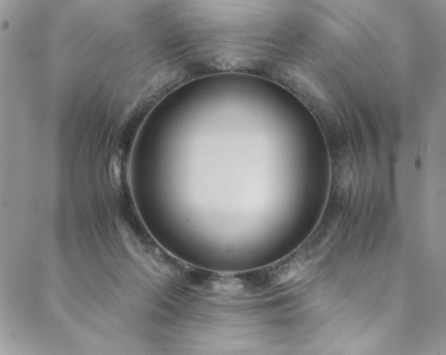 X0000089870214200706281324