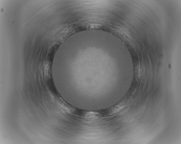 X0000089870222200706281324