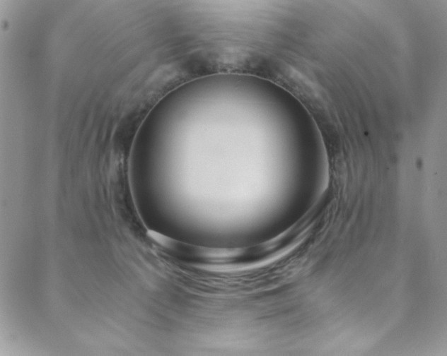 X0000089870225200706281324