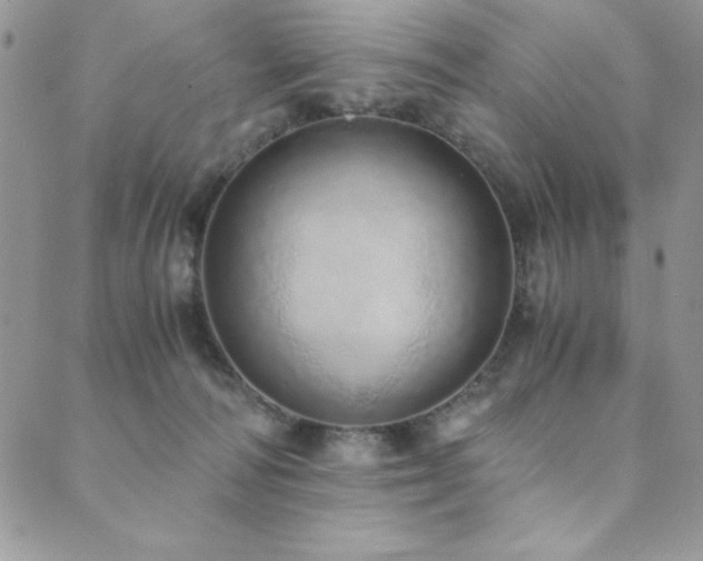 X0000089870226200706281324